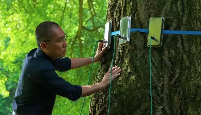 梁朝伟《寂静的朋友》上映5天票房不足300万，豆瓣7.9分 | 资讯配图